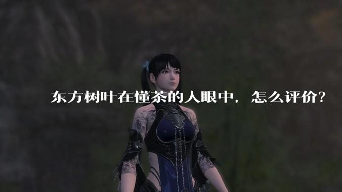 东方树叶在懂茶的人眼中，怎么评价？