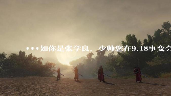 ***如你是张学良，少帅您在9.18事变会怎么做？