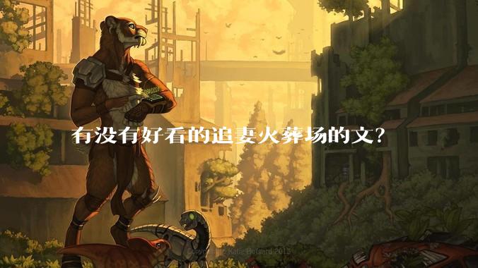 有没有好看的追妻火葬场的文？