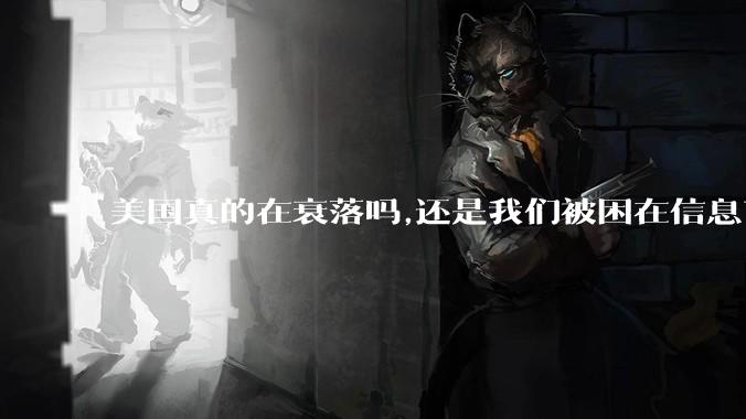 美国真的在衰落吗,还是我们被困在信息茧房?