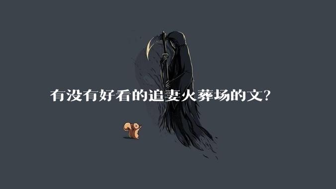 有没有好看的追妻火葬场的文？